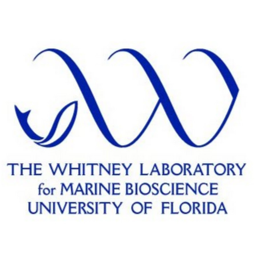 Whitney Lab for Marine Bioscience